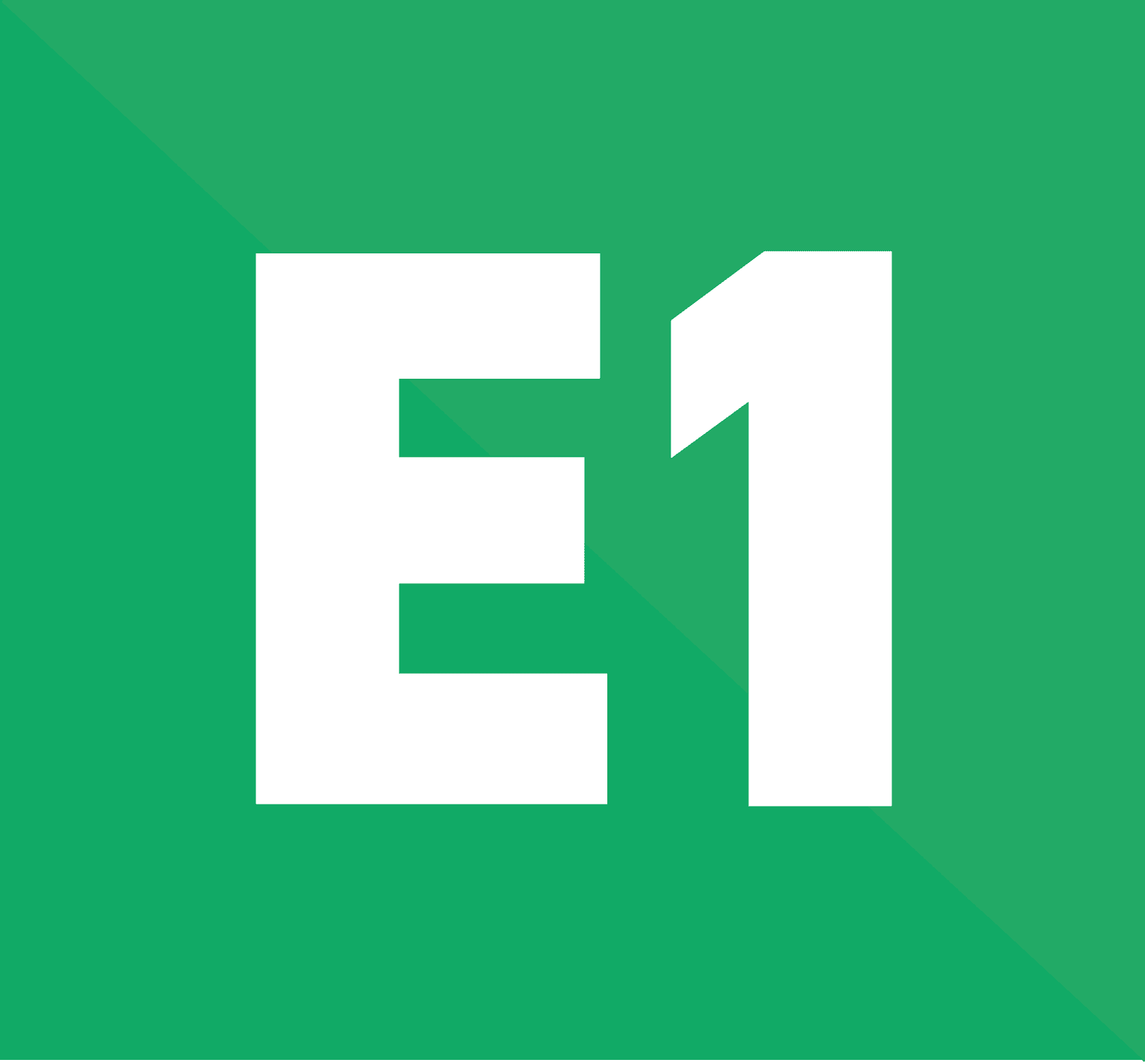 Е1. Е1 лого. Эмблема 1е. Е1 шкафы лого. Производитель е 1