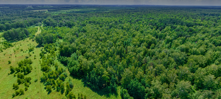 Smart-скидка на участки ИЖС с собственным лесом!